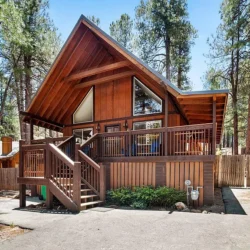 9ae5ba8172e21d46b7f834a8272fd573-cc_ft_768